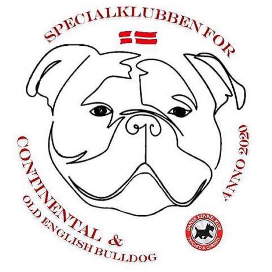 Historie & Oprindelse | Specialklub for Continental & Old English Bulldog